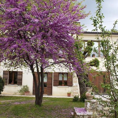 B&B Alte Paderno del Grappa Bagian luar foto