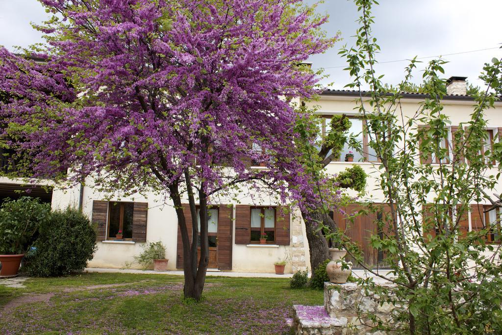 B&B Alte Paderno del Grappa Bagian luar foto