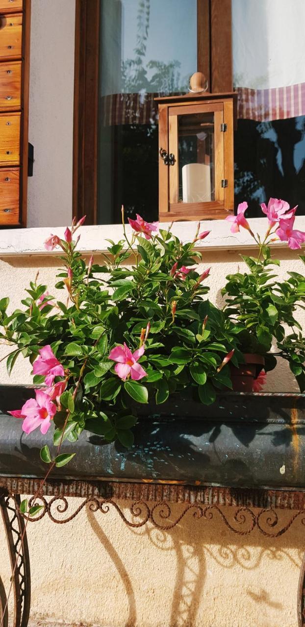 B&B Alte Paderno del Grappa Bagian luar foto